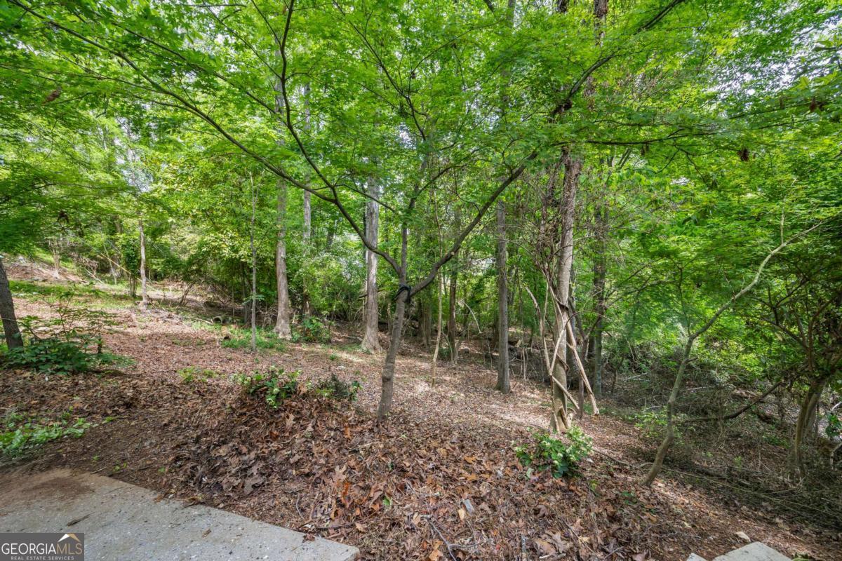 125 Terrell Drive Athens, GA 30606 - Photo 60 of 75 a view of a forest with trees in the background