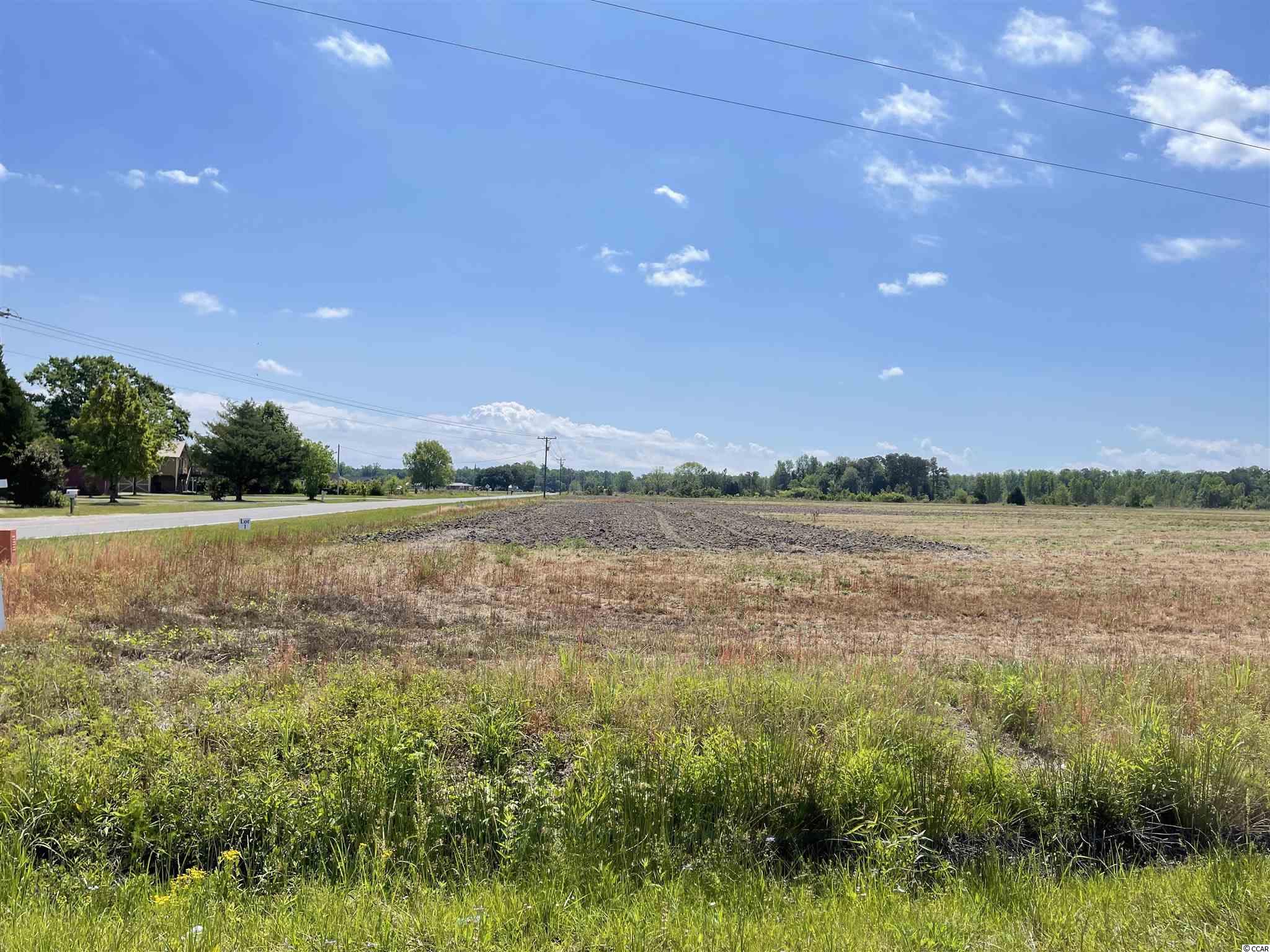 Lot 7 Pleasant Grove Road Loris, SC 29569 - Photo 1 of 16 Gallery Image 1