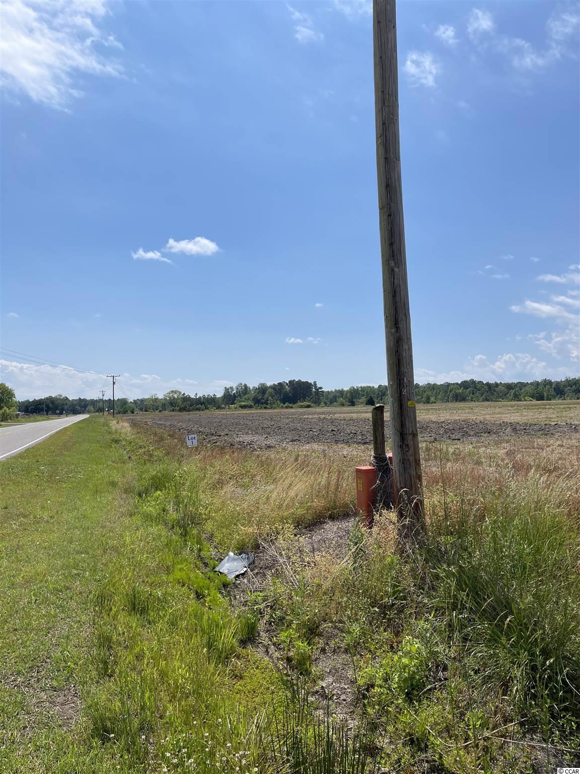 Lot 7 Pleasant Grove Road Loris, SC 29569 - Photo 14 of 16 Gallery Image 14