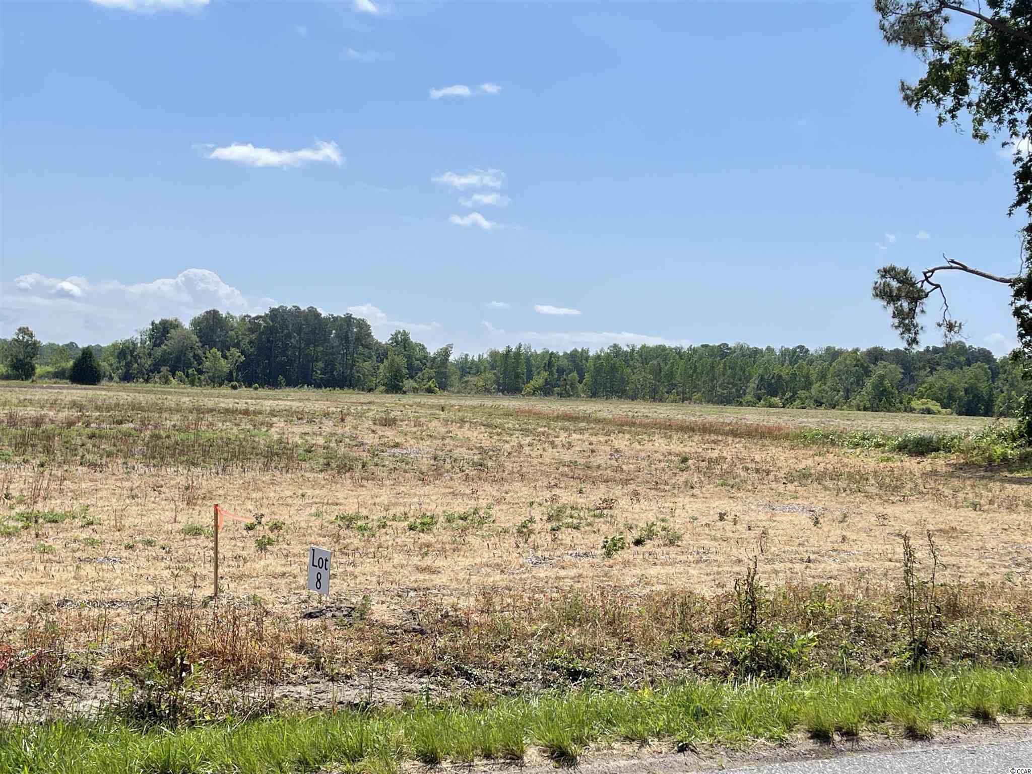 Lot 7 Pleasant Grove Road Loris, SC 29569 - Photo 3 of 16 Gallery Image 3