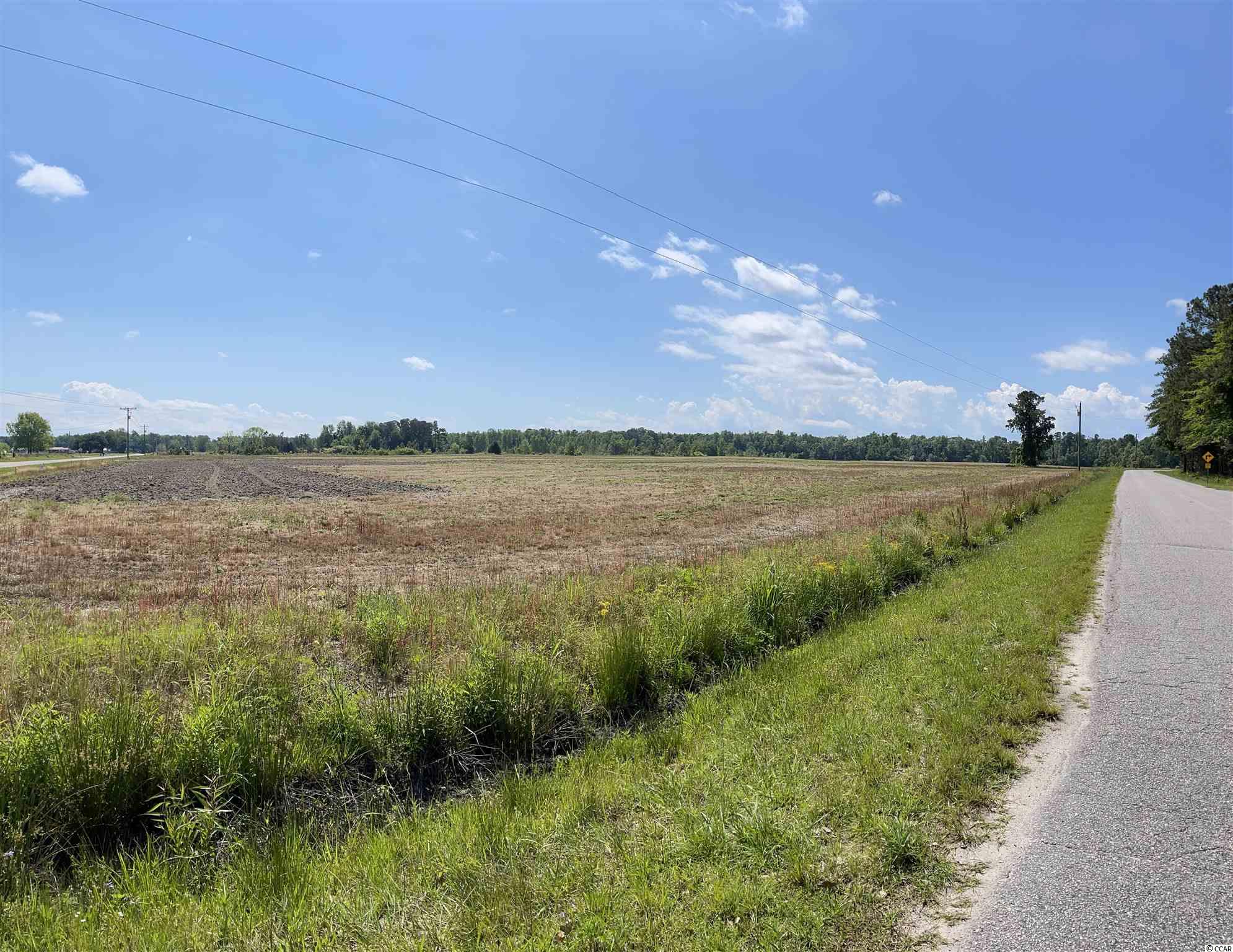 Lot 7 Pleasant Grove Road Loris, SC 29569 - Photo 5 of 16 Gallery Image 5
