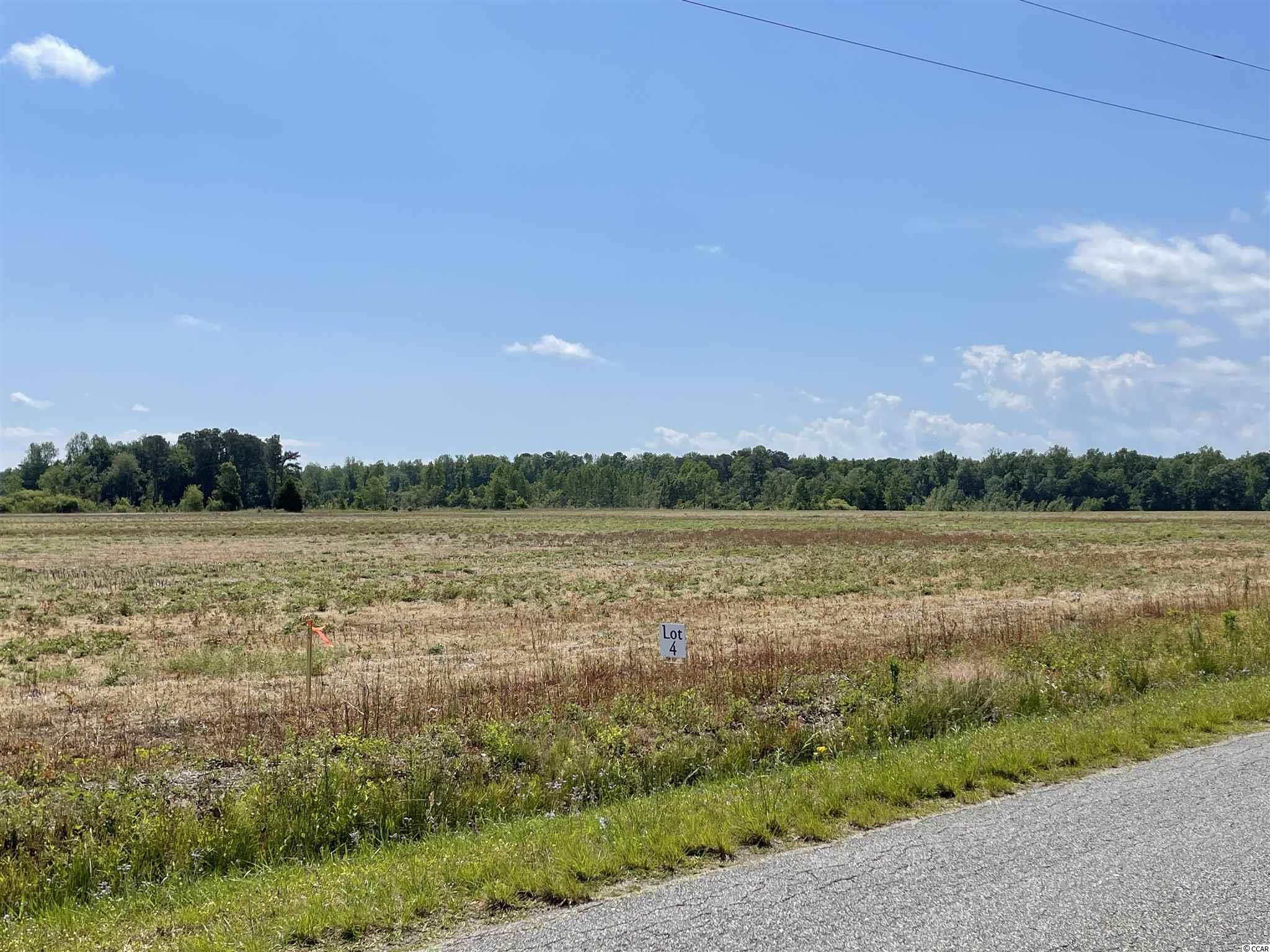 Lot 7 Pleasant Grove Road Loris, SC 29569 - Photo 9 of 16 Gallery Image 9