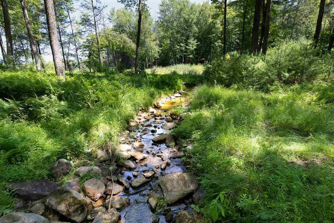 311 Buck Road Stone Ridge, NY 12484 - Photo 33 of 35