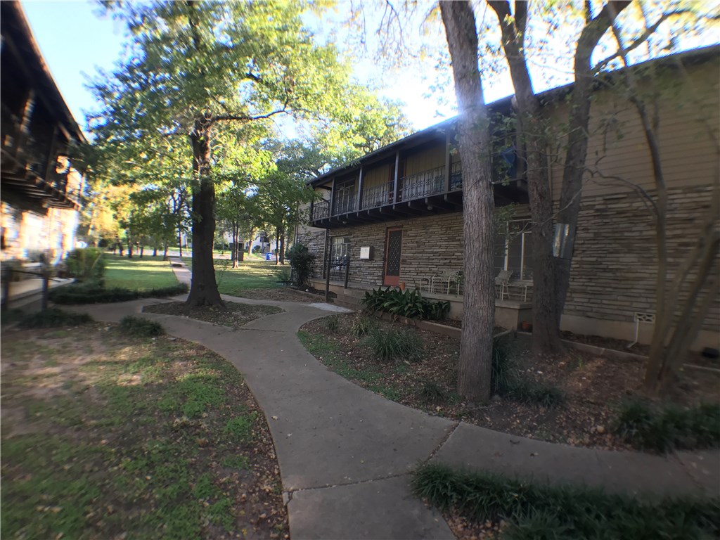 a view of a street with a tree