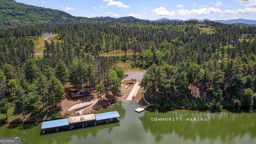 1309 Ridge Pointe Way, Unit 284 Blairsville, GA 30512 - Photo 74 of 75 a view of a lake with a mountain
