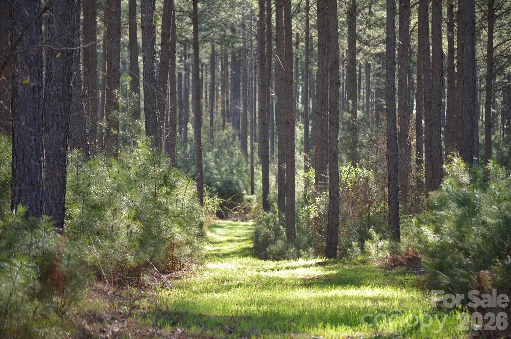 0 Peter Hawk Creek Road, Unit 12 Jonesville, SC 29353 - Photo 1 of 25 a view of outdoor space with trees in the background