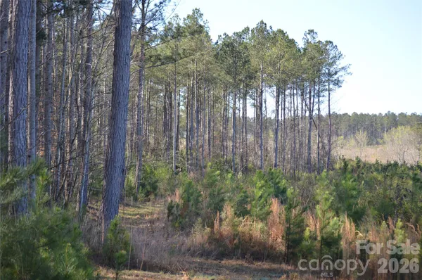 $135,000 | 0 Peter Hawk Creek Road, Unit 12, Jonesville, SC 29353