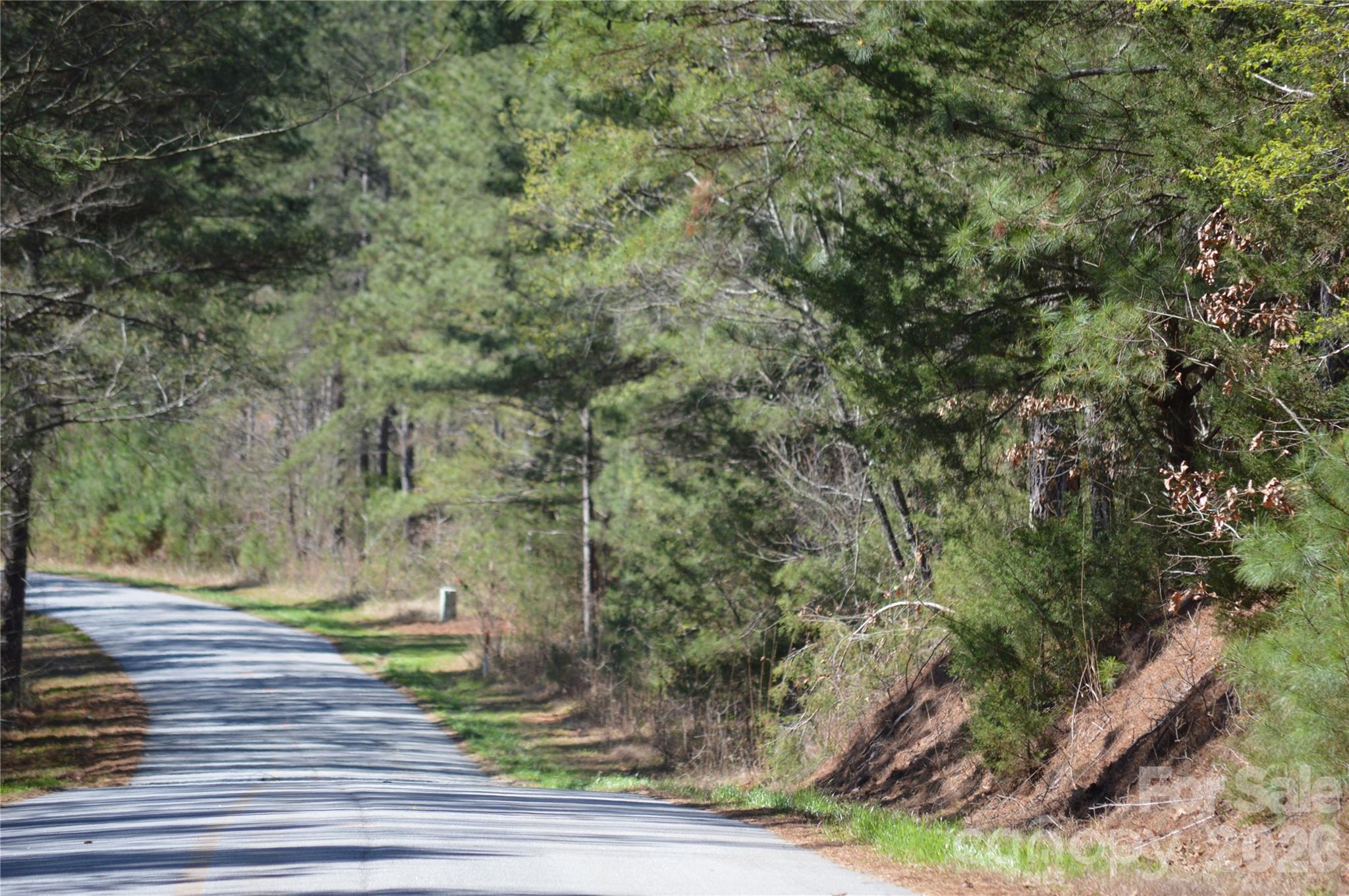 0 Peter Hawk Creek Road, Unit 12 Jonesville, SC 29353 - Photo 17 of 25