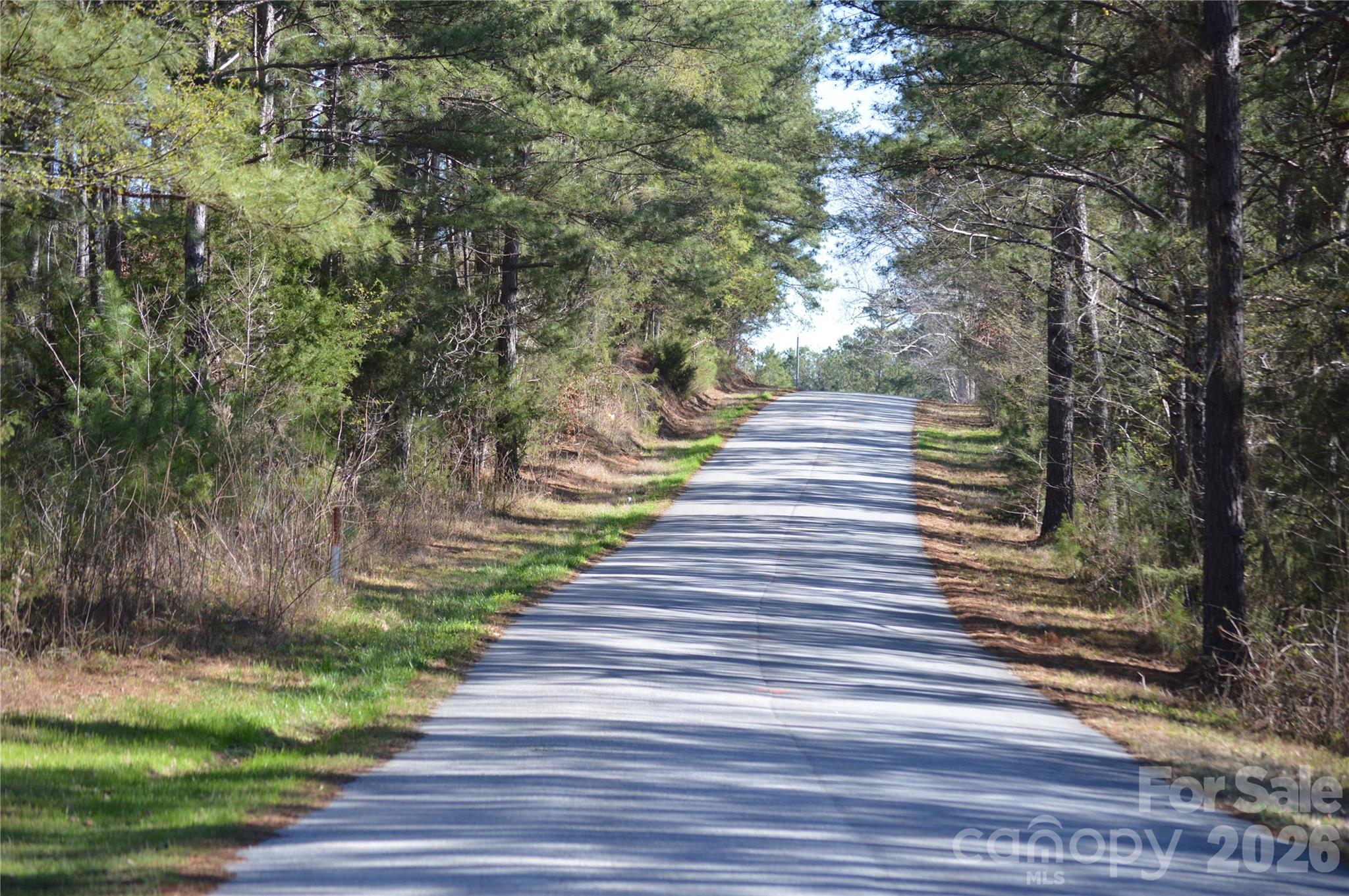 0 Peter Hawk Creek Road, Unit 12 Jonesville, SC 29353 - Photo 18 of 25