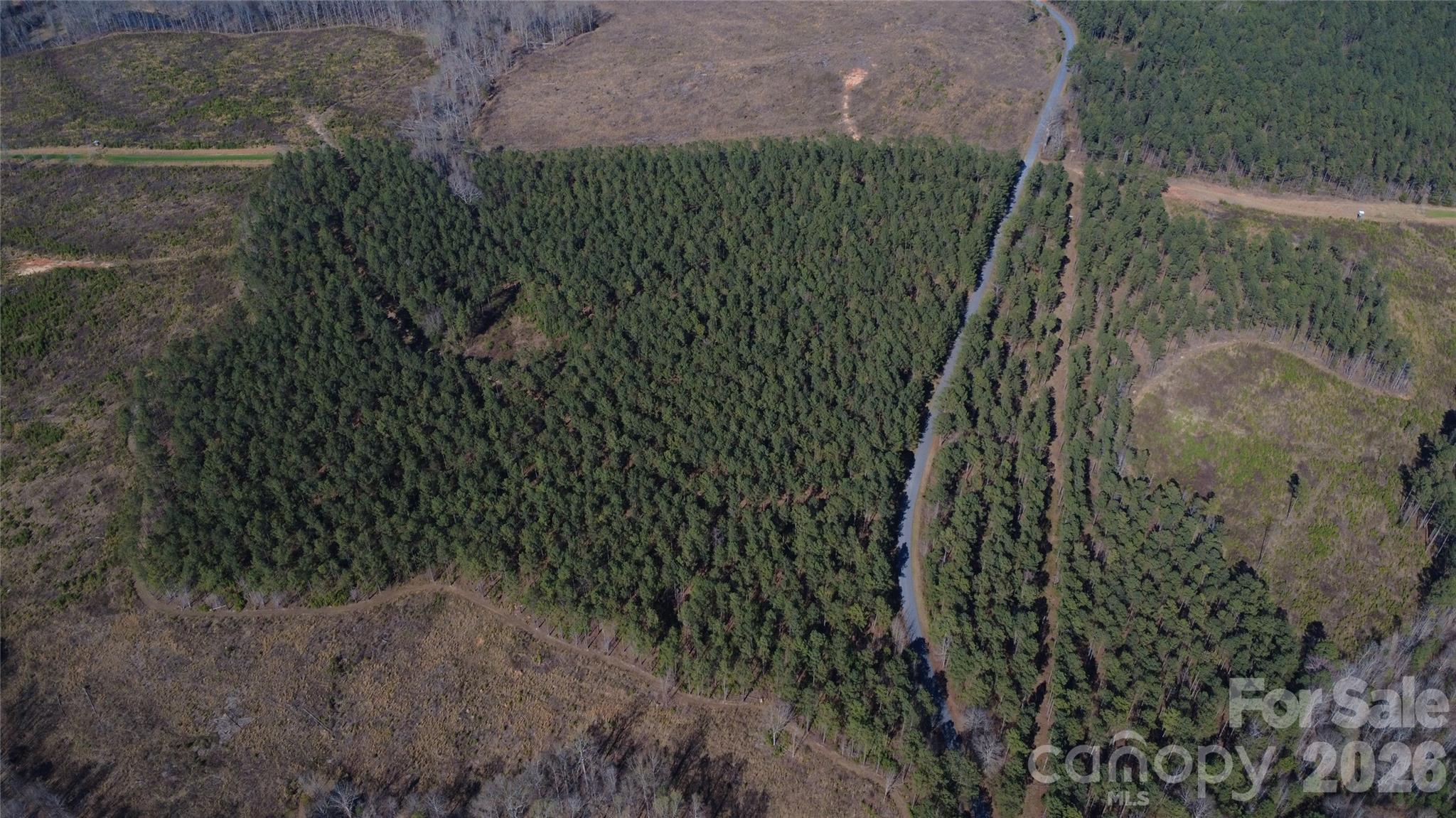 0 Peter Hawk Creek Road, Unit 12 Jonesville, SC 29353 - Photo 5 of 25