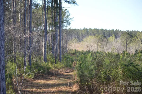 $135,000 | 0 Peter Hawk Creek Road, Unit 12, Jonesville, SC 29353