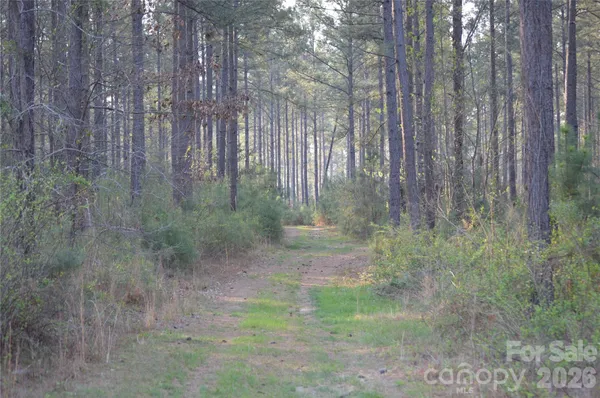 $135,000 | 0 Peter Hawk Creek Road, Unit 12, Jonesville, SC 29353