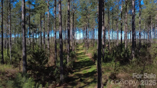 $135,000 | 0 Peter Hawk Creek Road, Unit 12, Jonesville, SC 29353