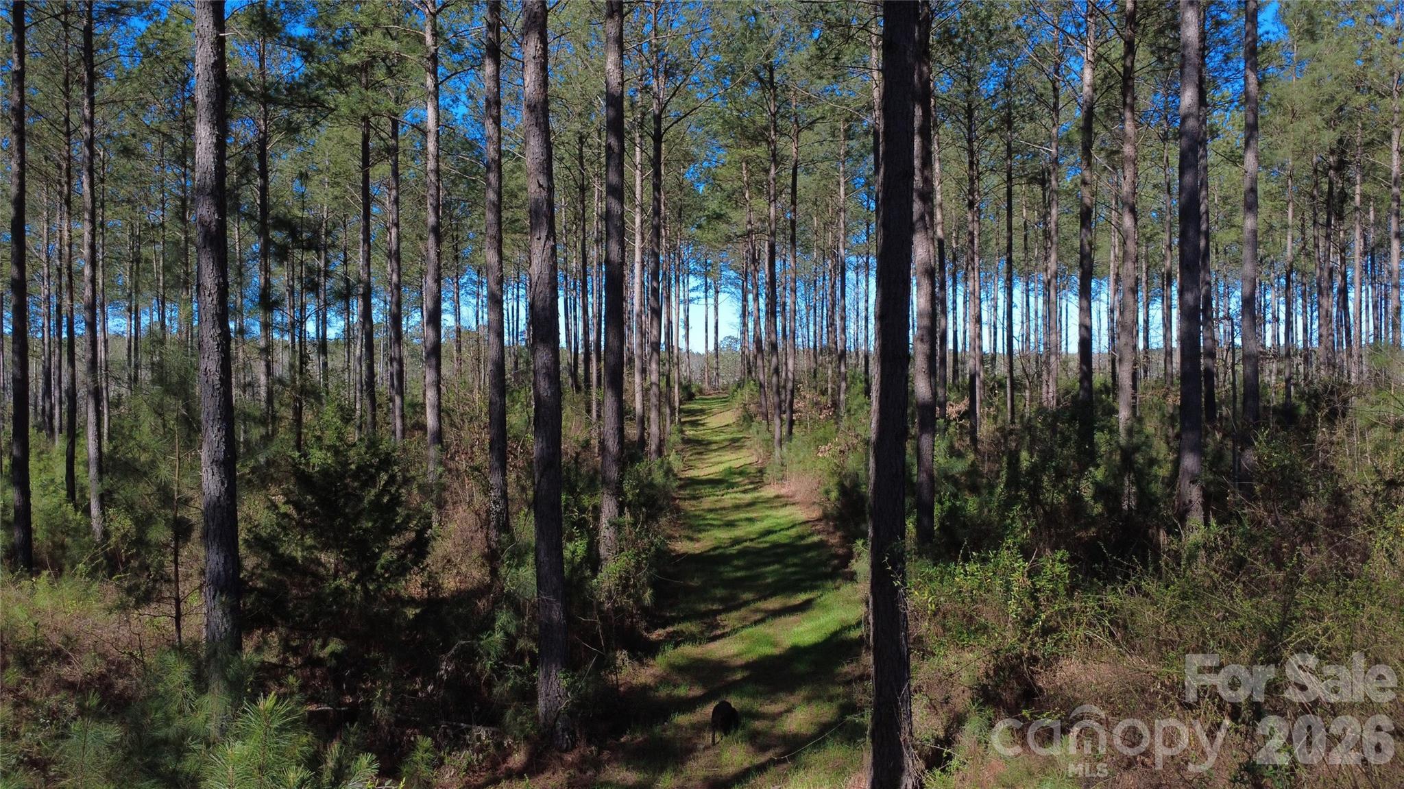 0 Peter Hawk Creek Road, Unit 12 Jonesville, SC 29353 - Photo 9 of 25
