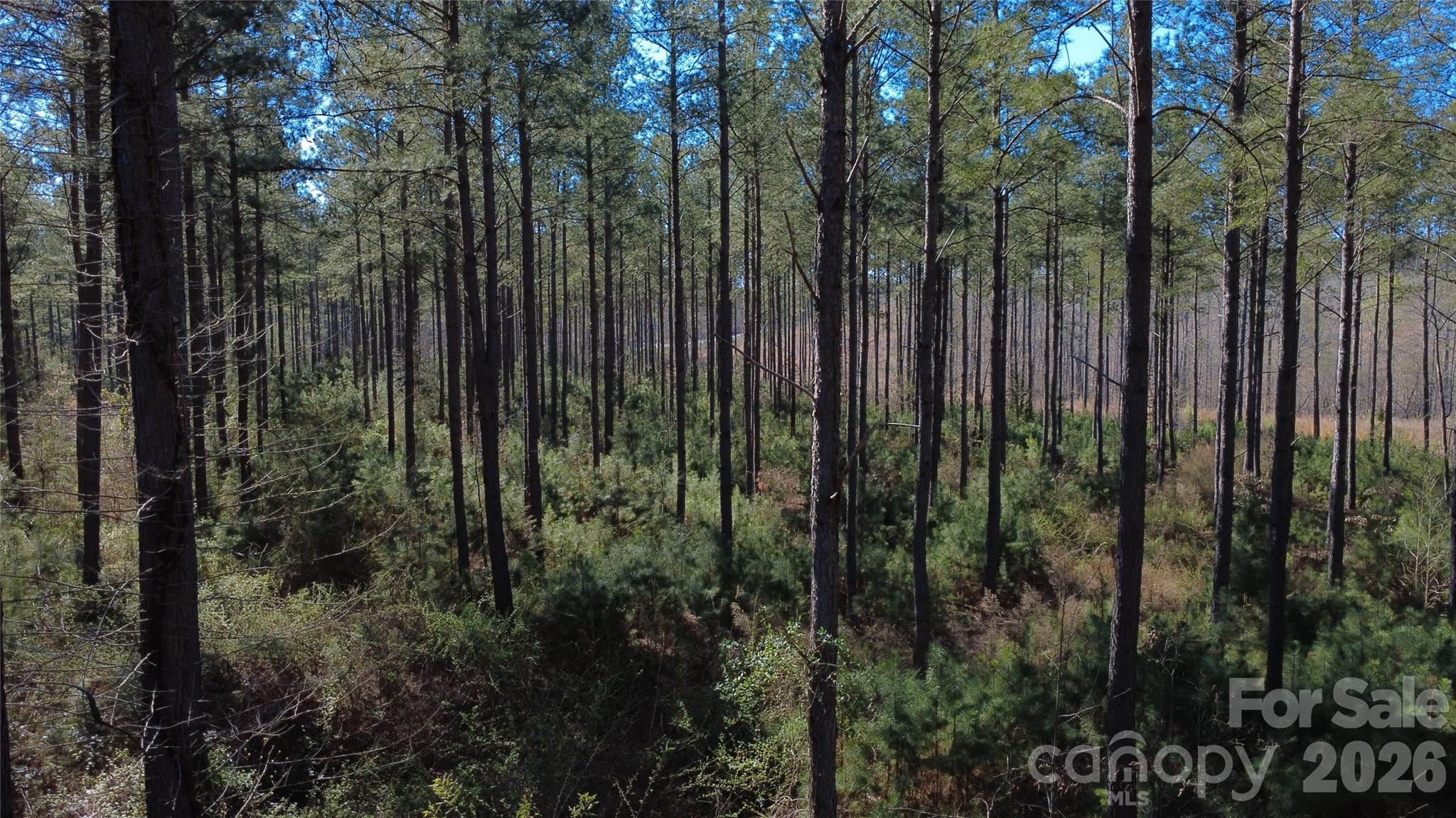 0 Peter Hawk Creek Road, Unit 12 Jonesville, SC 29353 - Photo 10 of 25