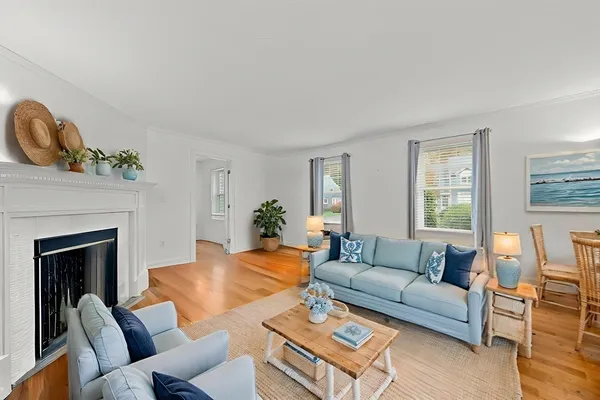 a view of a park with large trees