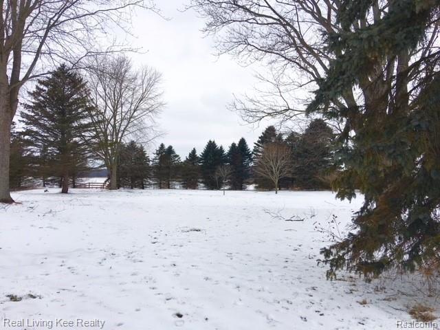 15211 Root Road Yale, MI 48097 - Photo 3 of 63 IMG_2218.jpg