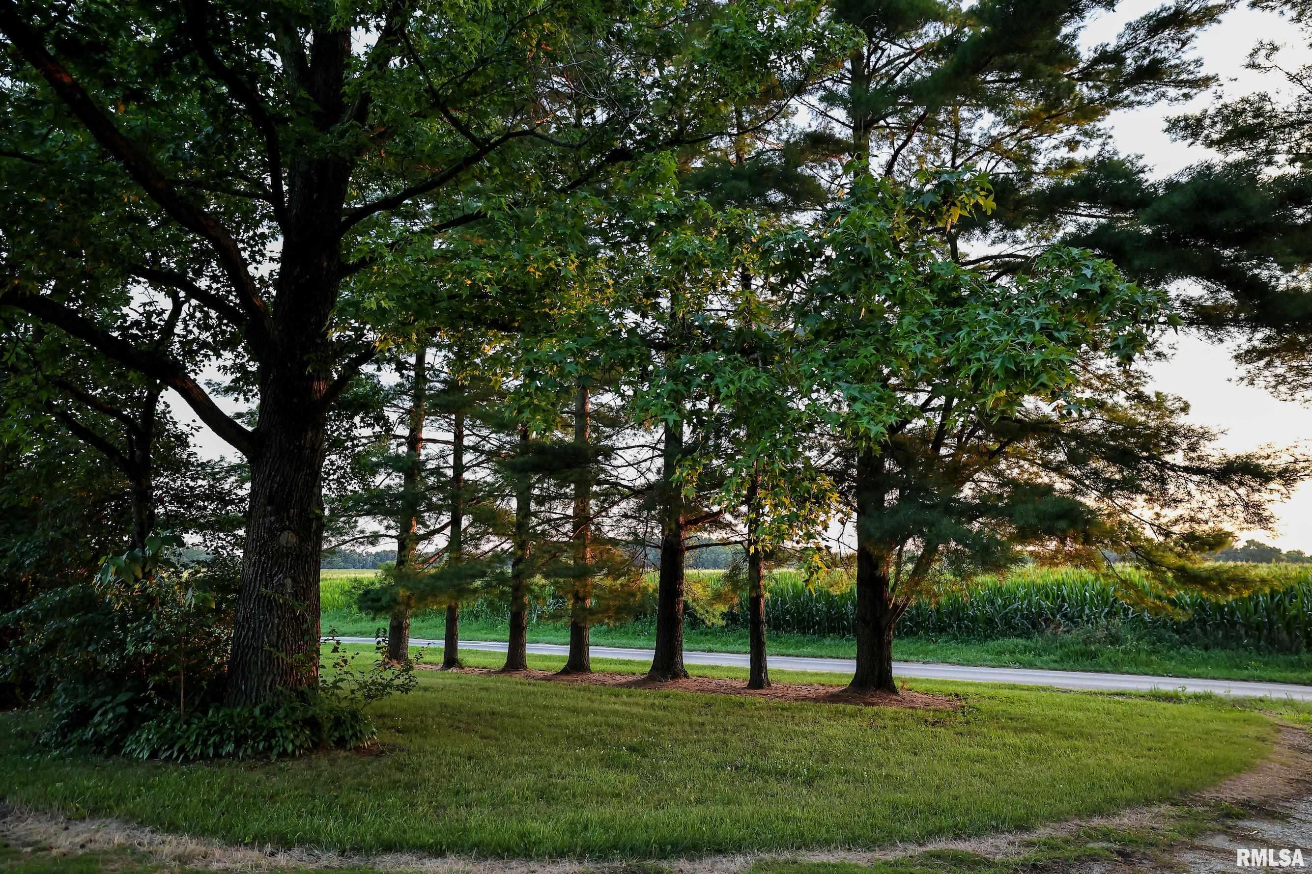 29498 420th Street Griggsville, IL 62340 - Photo 40 of 86