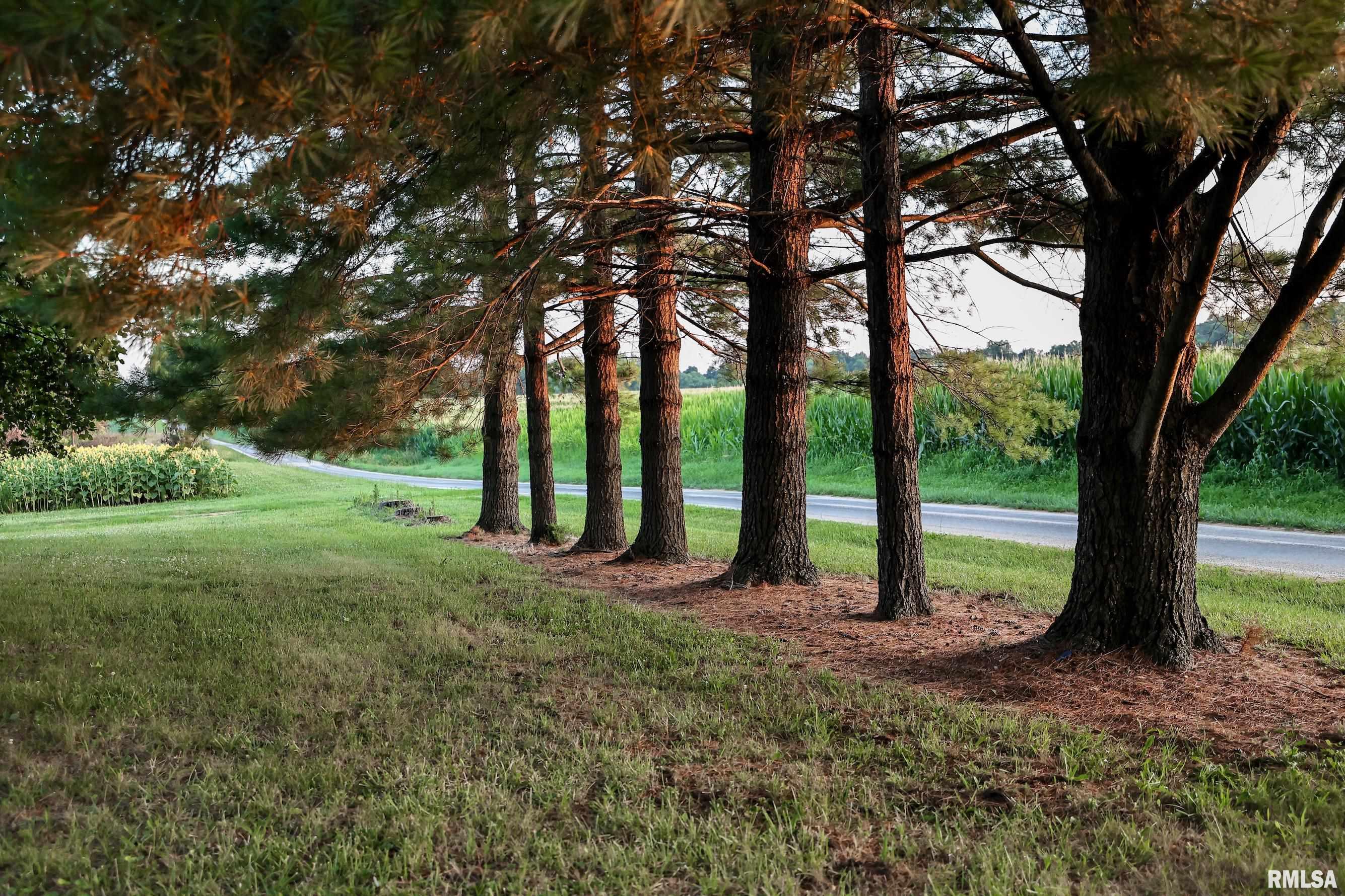 29498 420th Street Griggsville, IL 62340 - Photo 41 of 86
