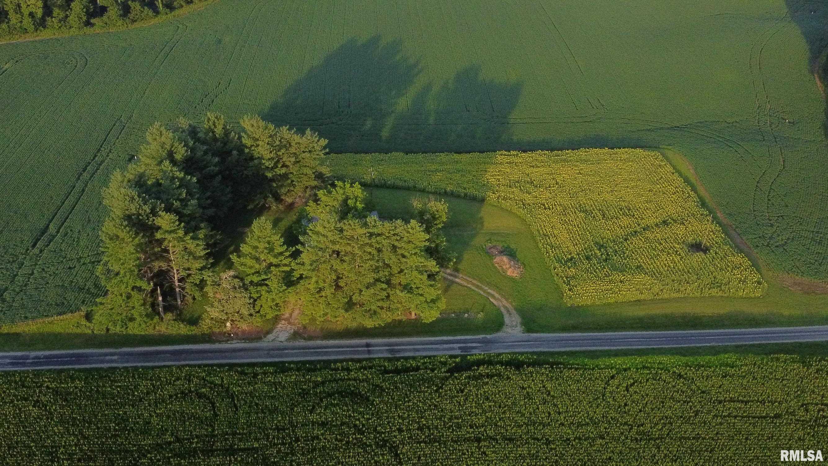 29498 420th Street Griggsville, IL 62340 - Photo 64 of 86