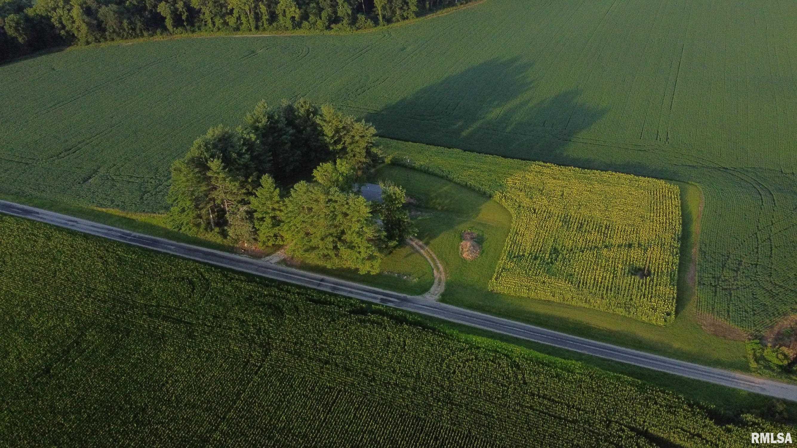 29498 420th Street Griggsville, IL 62340 - Photo 65 of 86