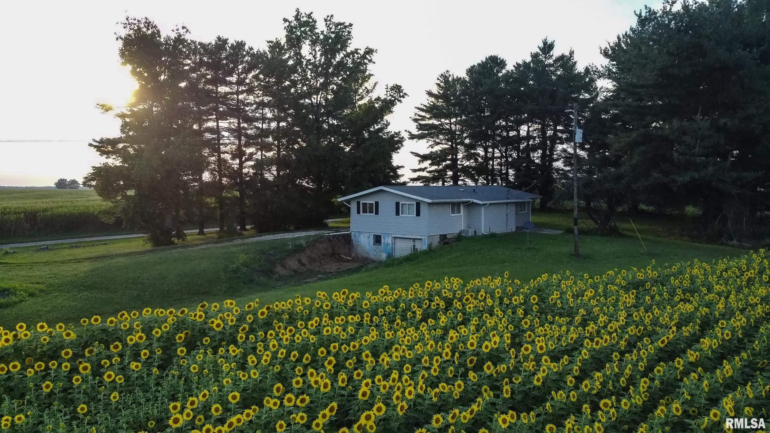 29498 420th Street Griggsville, IL 62340 - Photo 69 of 86