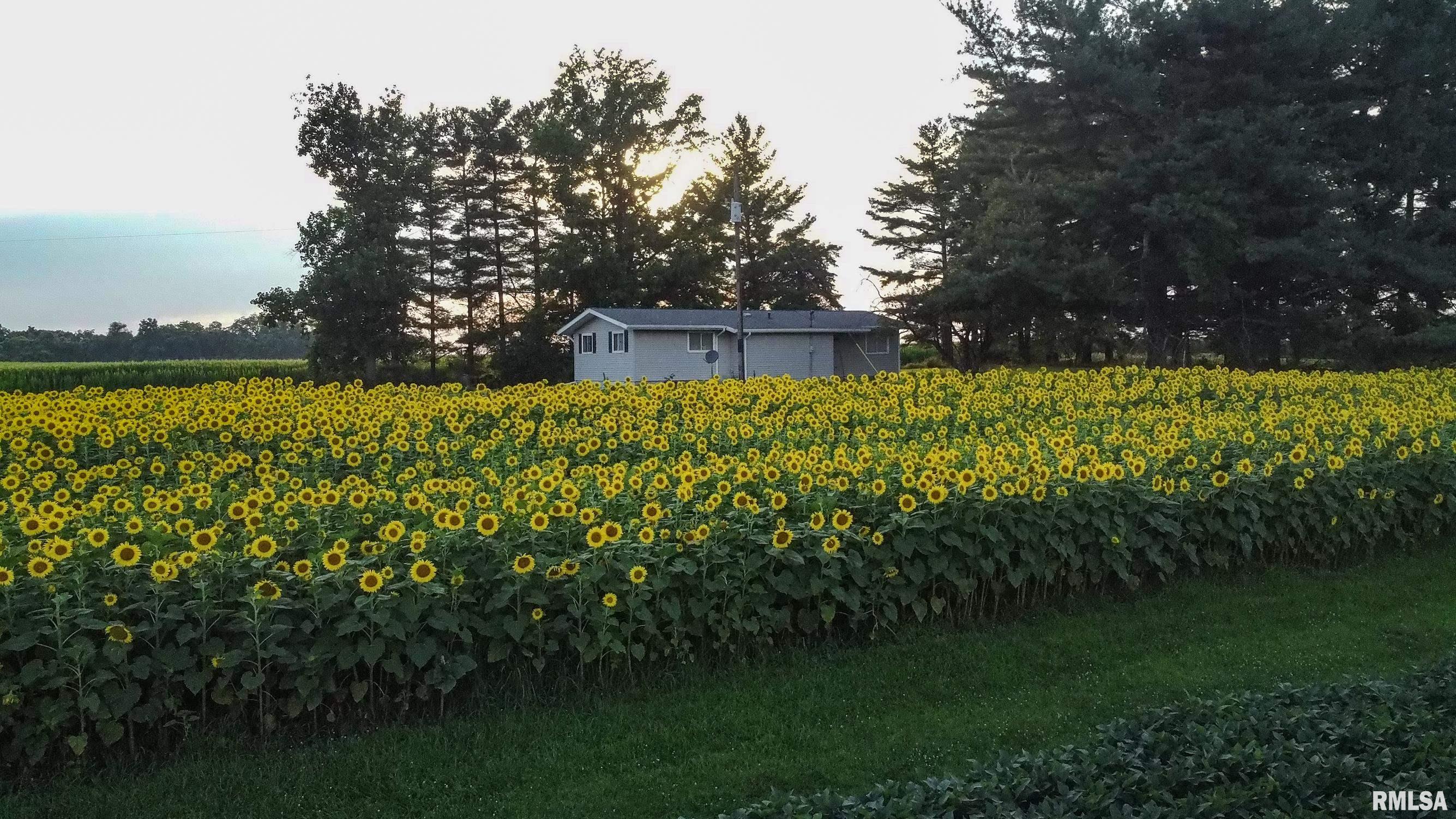 29498 420th Street Griggsville, IL 62340 - Photo 72 of 86