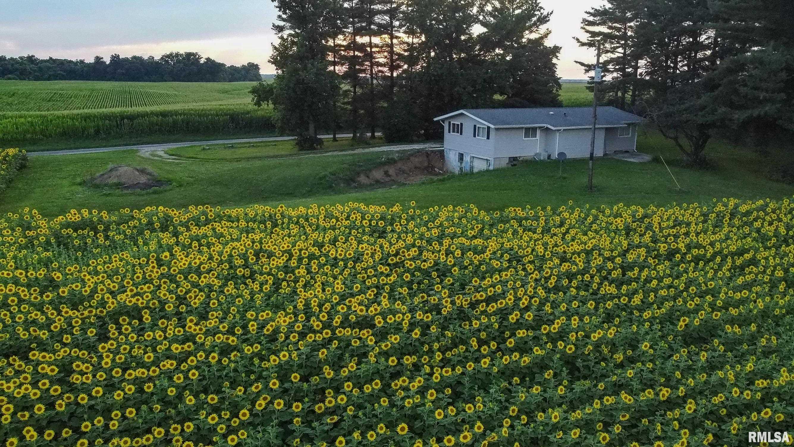 29498 420th Street Griggsville, IL 62340 - Photo 79 of 86