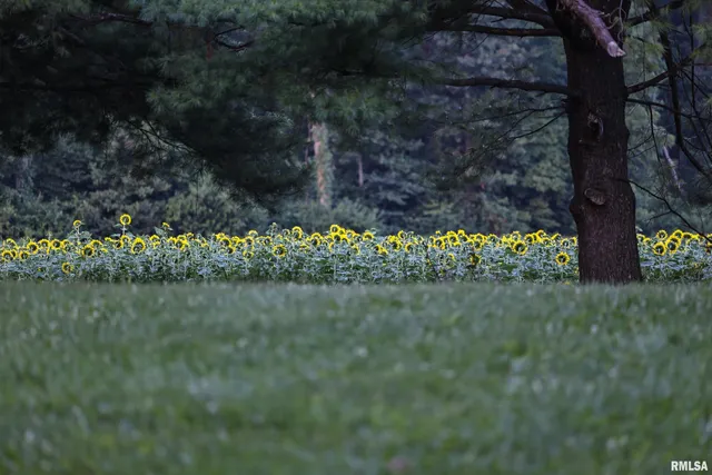 $94,000 | 29498 420th Street, Griggsville, IL 62340