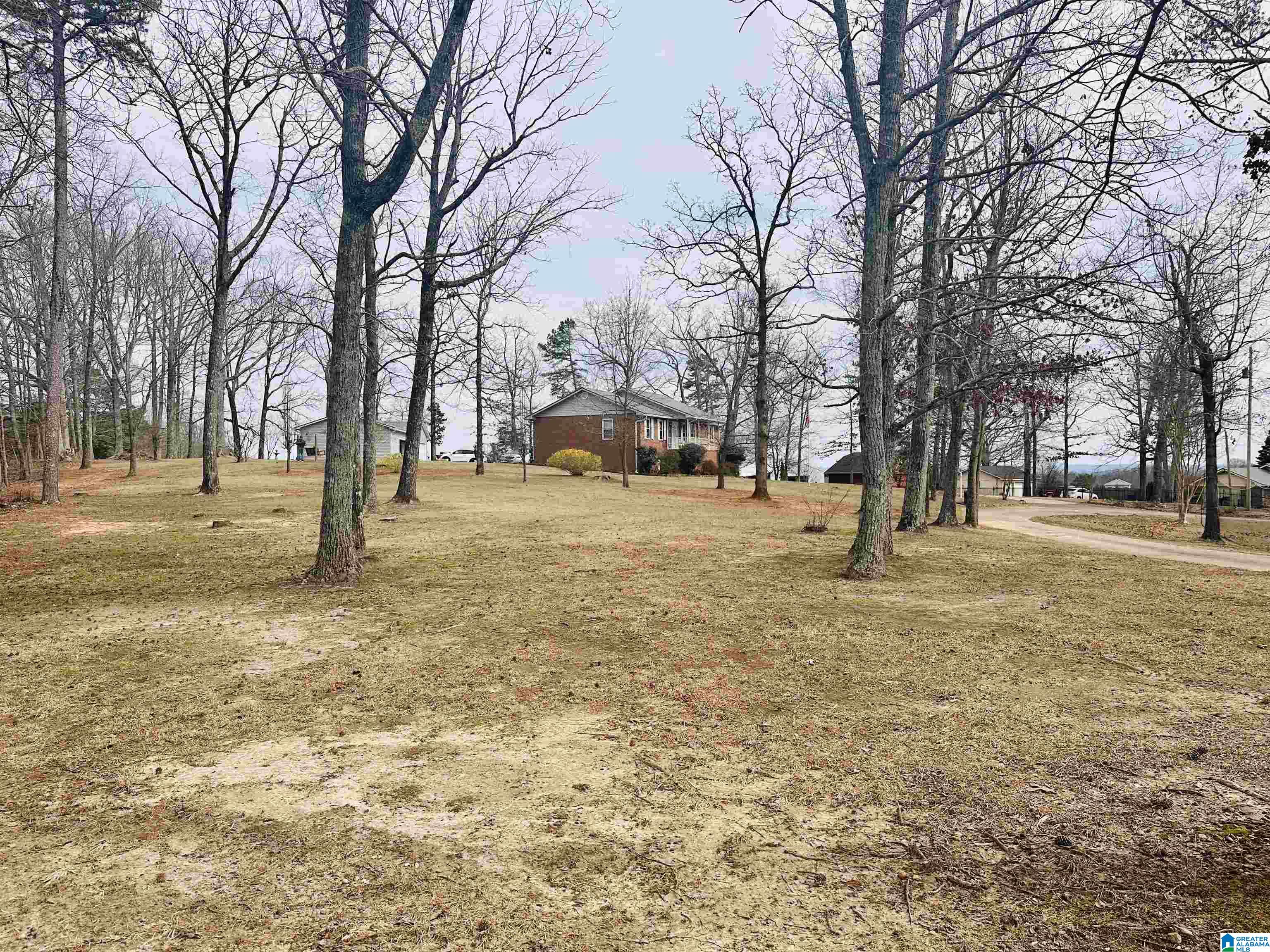 100 Ridge Lane Warrior, AL 35180 - Photo 18 of 56 Gallery Image 18