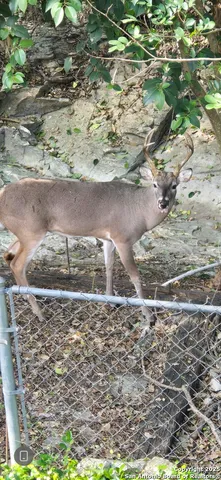 $549,000 | 1247 Abbotsbury, Universal City, TX 78148