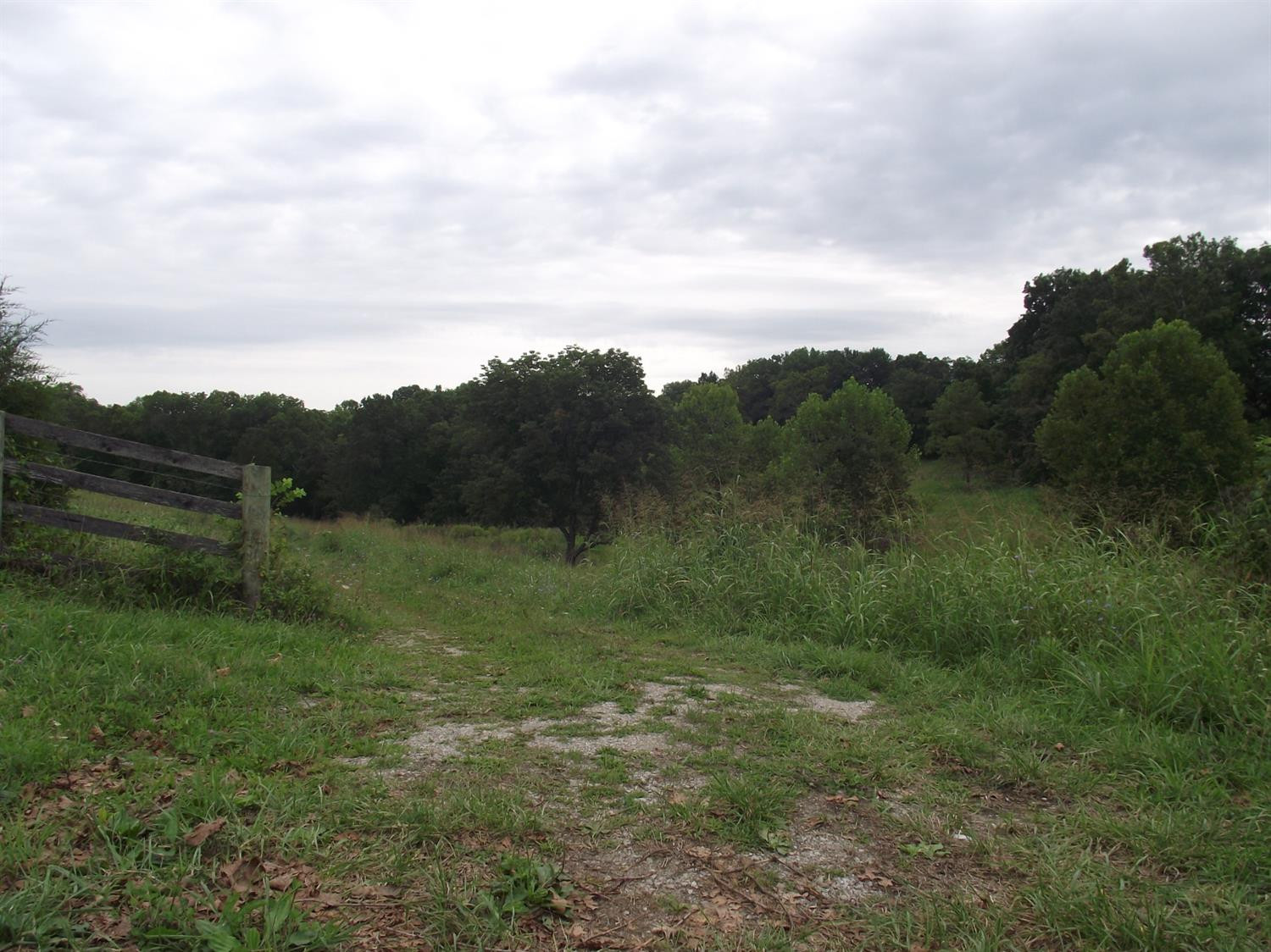 14410 Irvine Road Winchester, KY 40391 - Photo 7 of 25 Photo 7