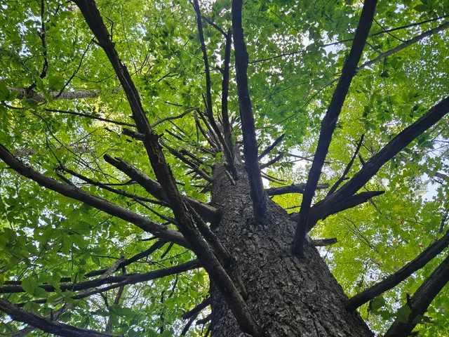 $275,000 | 708 Webbs Mills Road, Raymond, ME 04071