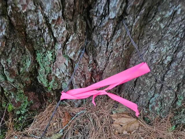 $275,000 | 708 Webbs Mills Road, Raymond, ME 04071