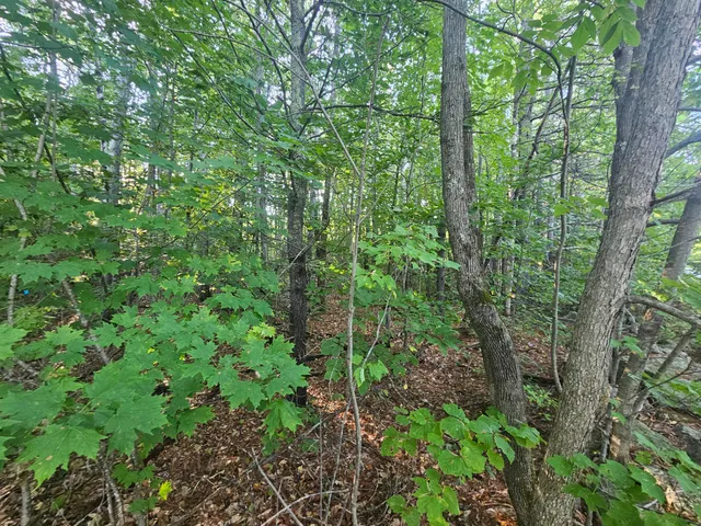 $275,000 | 708 Webbs Mills Road, Raymond, ME 04071