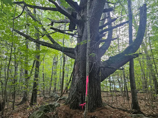 $275,000 | 708 Webbs Mills Road, Raymond, ME 04071