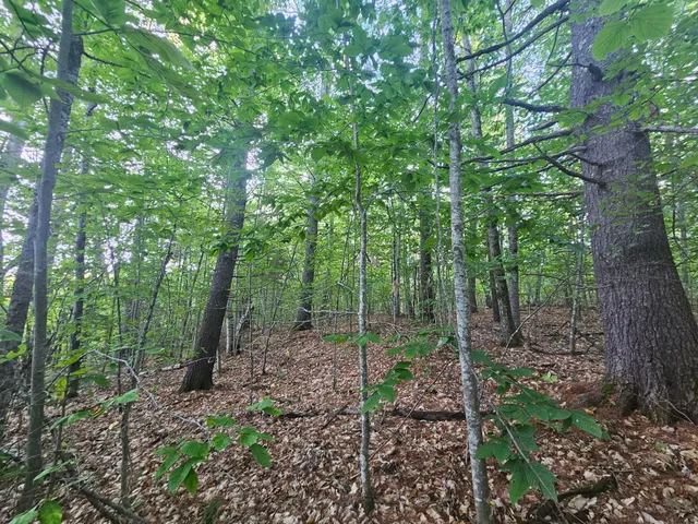 $275,000 | 708 Webbs Mills Road, Raymond, ME 04071