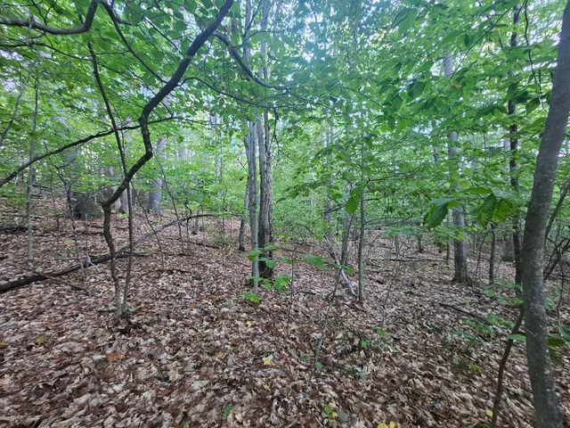 $275,000 | 708 Webbs Mills Road, Raymond, ME 04071