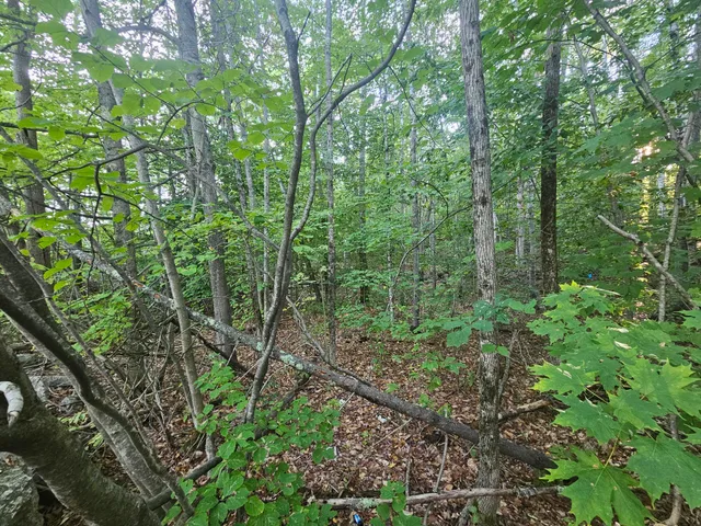 $275,000 | 708 Webbs Mills Road, Raymond, ME 04071