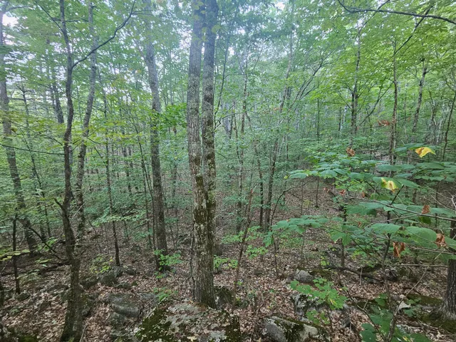 $275,000 | 708 Webbs Mills Road, Raymond, ME 04071