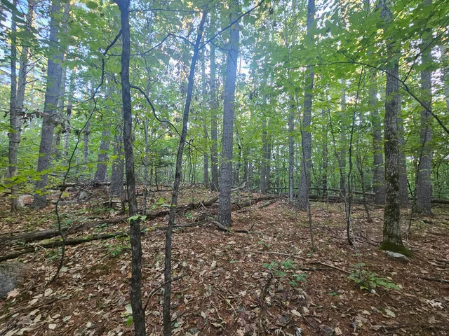 $275,000 | 708 Webbs Mills Road, Raymond, ME 04071