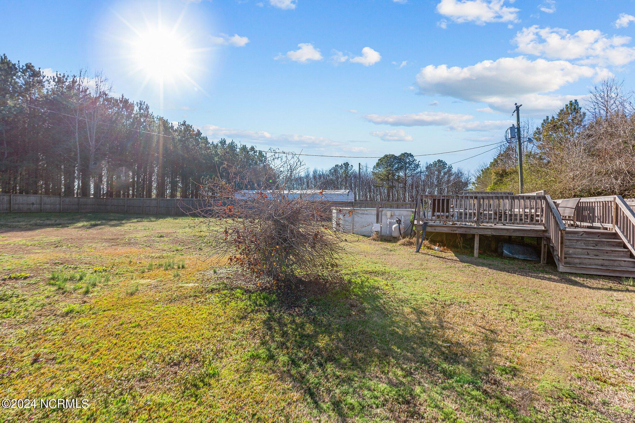 965 Parris Road Stantonsburg, NC 27883 - Photo 29 of 36 29-web-or-mls-_S0A9731