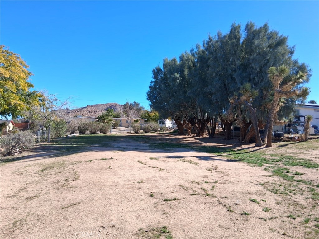6896 Conejo Avenue Joshua Tree, CA 92252 - Photo 2 of 5 Looking east. Fully fenced lot.