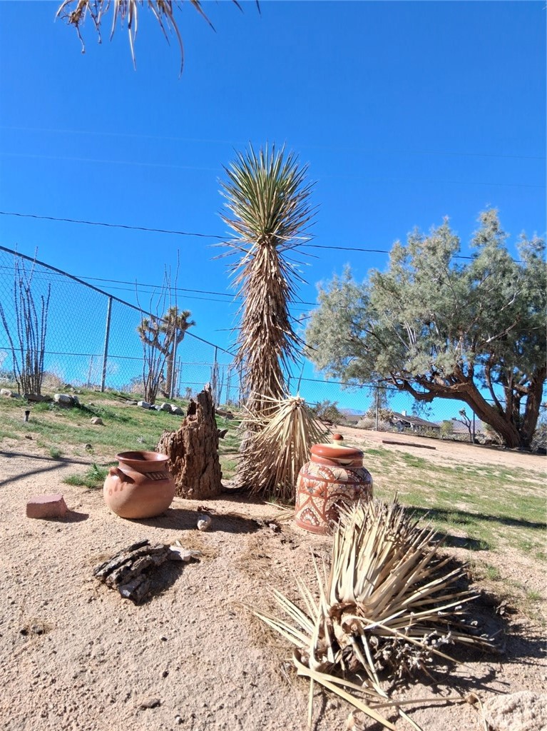 6896 Conejo Avenue Joshua Tree, CA 92252 - Photo 3 of 5 Native landscaping