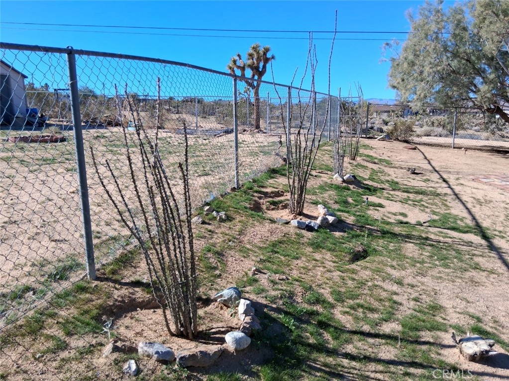 6896 Conejo Avenue Joshua Tree, CA 92252 - Photo 4 of 5 Ocotillo trees