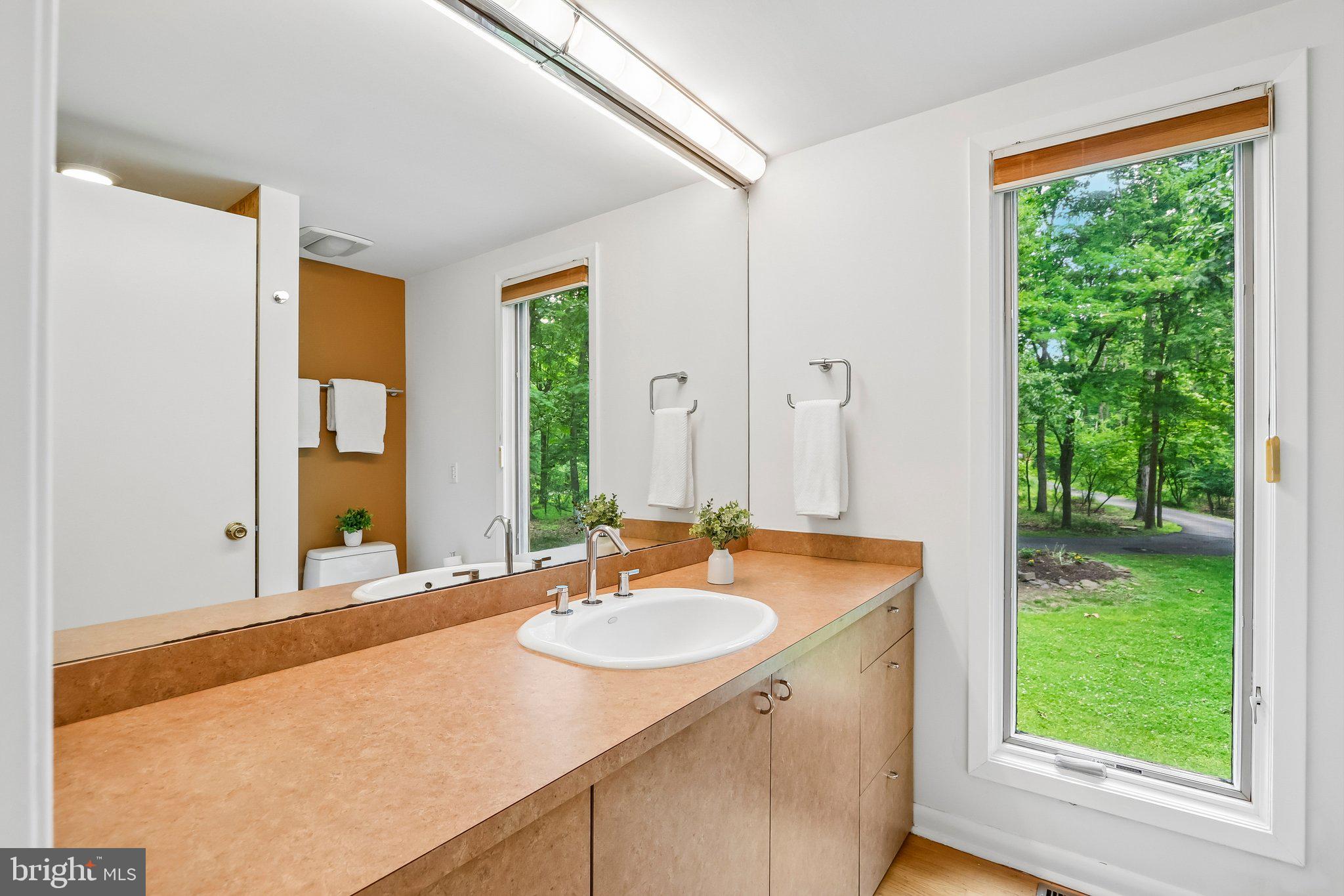 42 Pin Oak Road Skillman, NJ 08558 - Photo 25 of 64