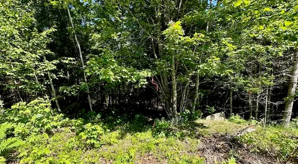 $62,500 | Lot #4 Bonnie Way, Winterport, ME 04496