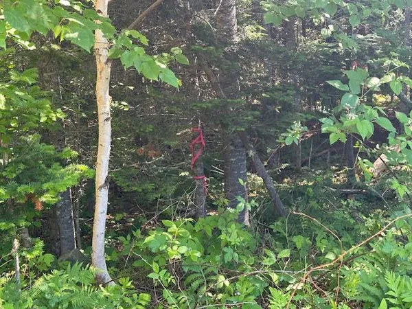 $62,500 | Lot #4 Bonnie Way, Winterport, ME 04496
