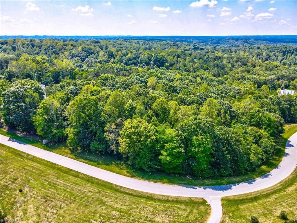 7335 Hidden View Drive Oak Ridge, NC 27310 - Photo 2 of 15 Gallery Image 2