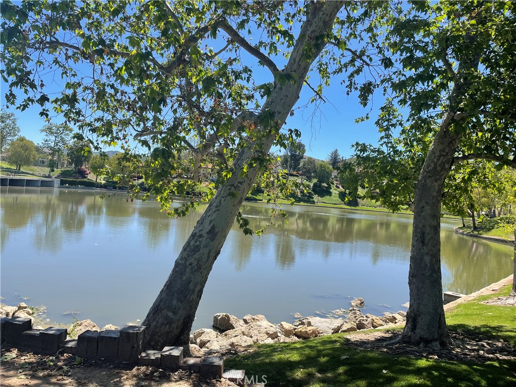a body of water with a tree in the background